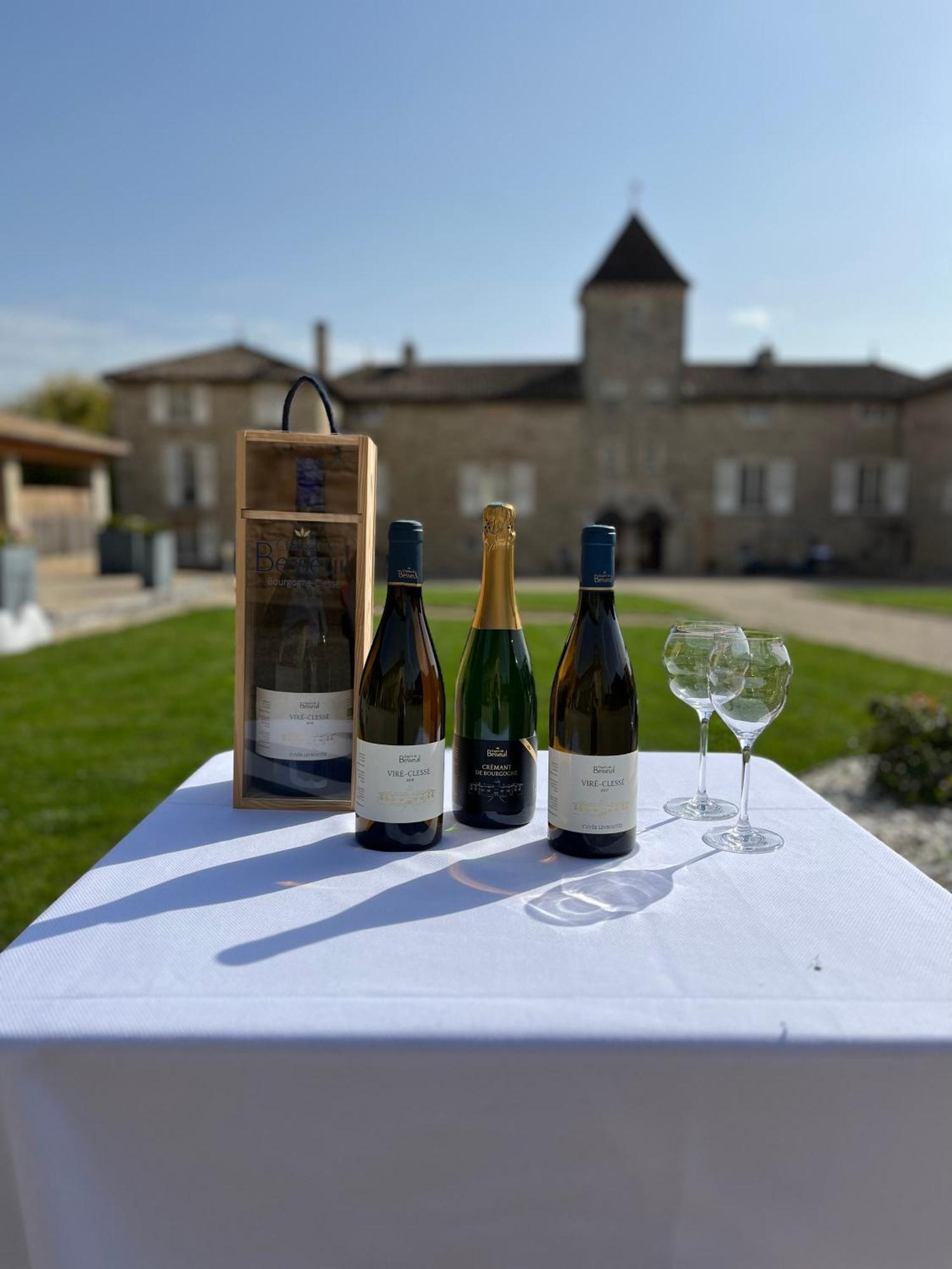 Hotel-Restaurant Le Chateau De Besseuil, Macon Nord - Teritoria Clessé Buitenkant foto